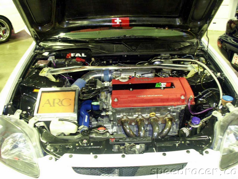PICT0236.jpg
