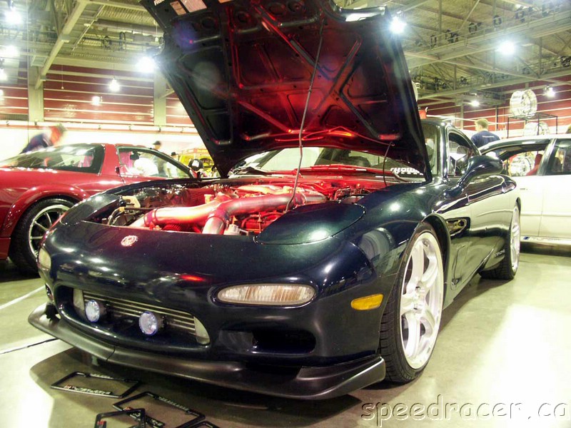PICT0239.jpg