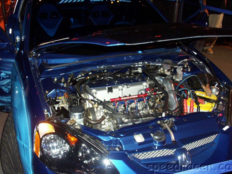 PICT0066.jpg