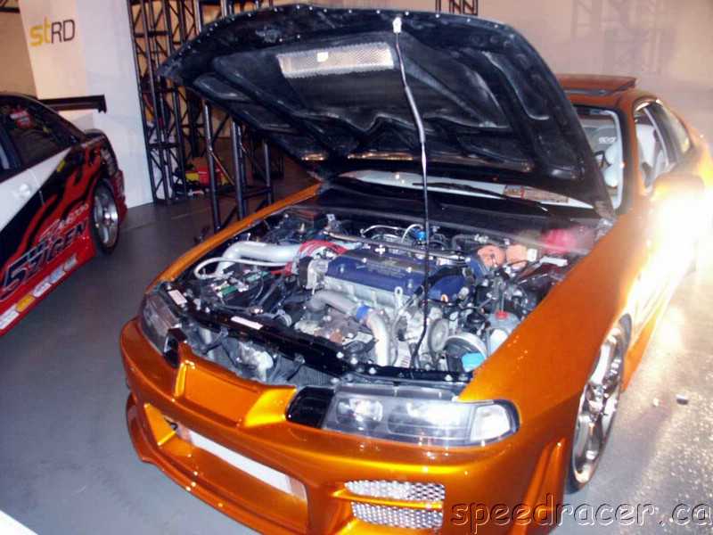 PICT0212.jpg