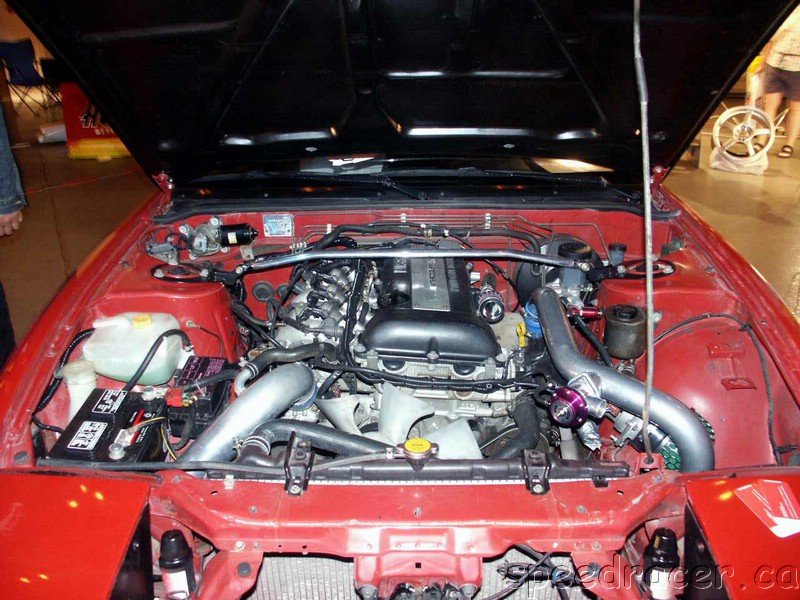 PICT0258.jpg