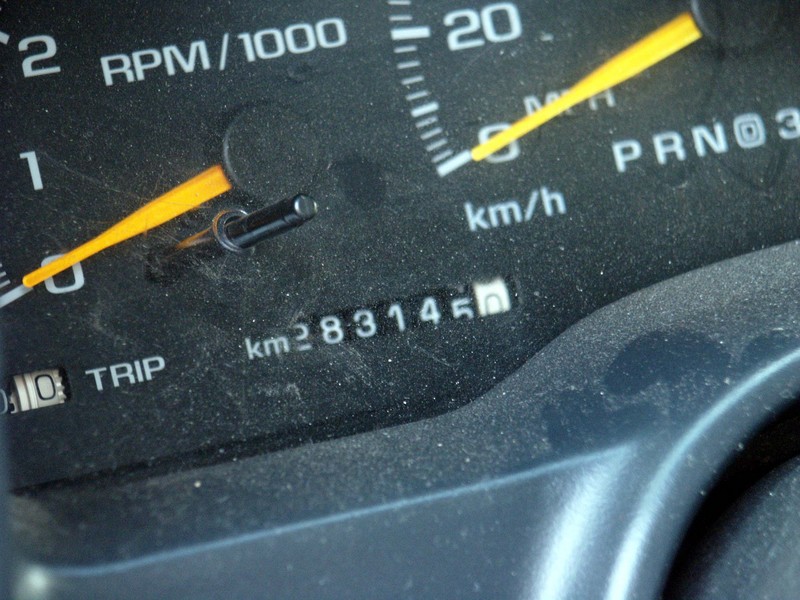 PICT0518a.jpg