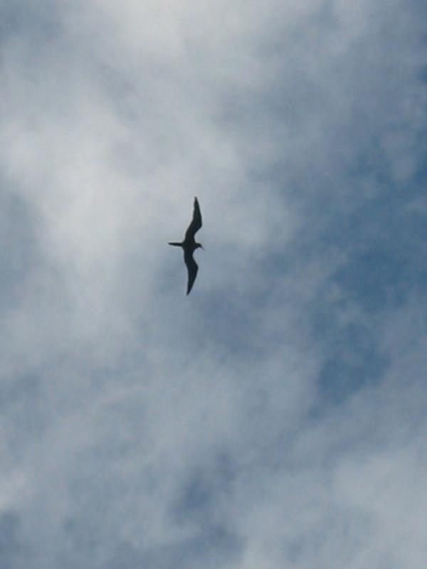 Picture 013.jpg