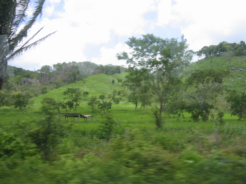 Picture 021.jpg