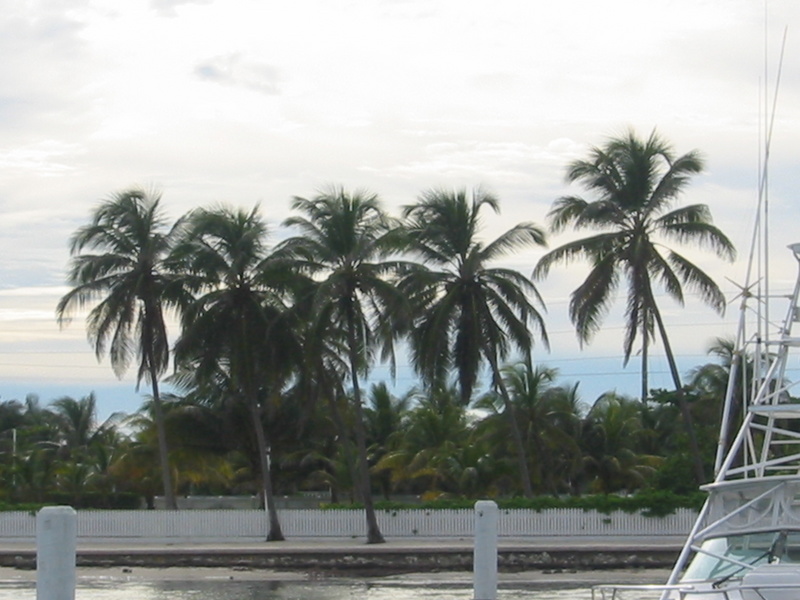 Picture 040.jpg