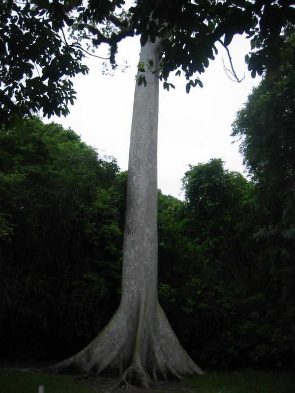 Picture 001.jpg