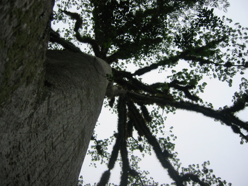 Picture 003.jpg