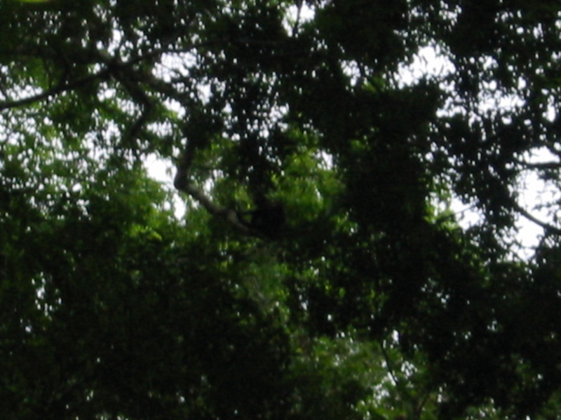 Picture 014.jpg