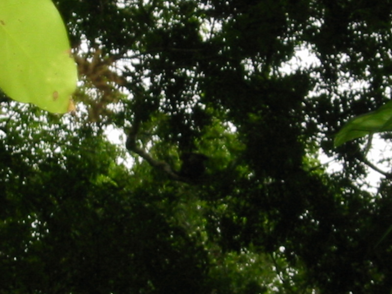 Picture 015.jpg