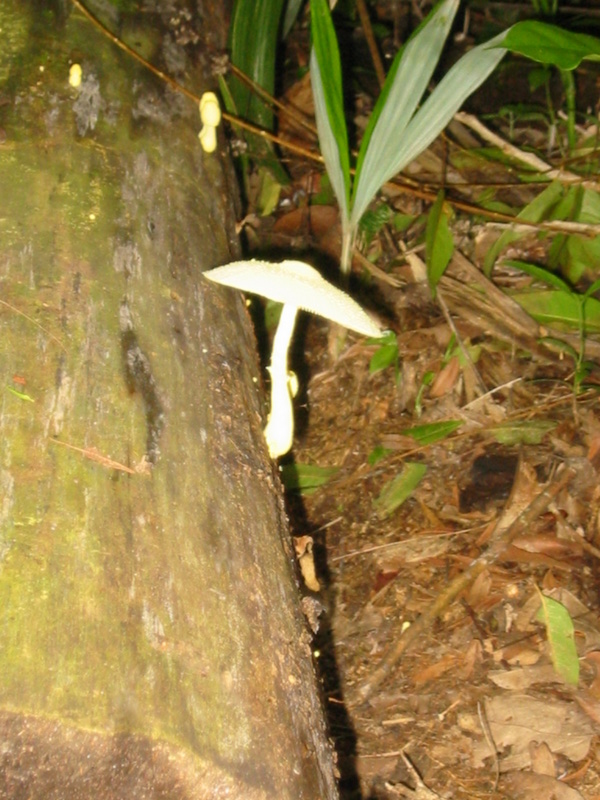 Picture 017.jpg