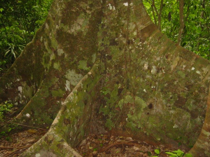Picture 018.jpg