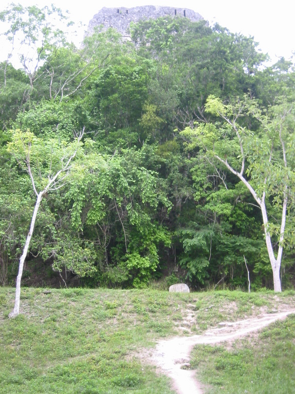 Picture 019.jpg