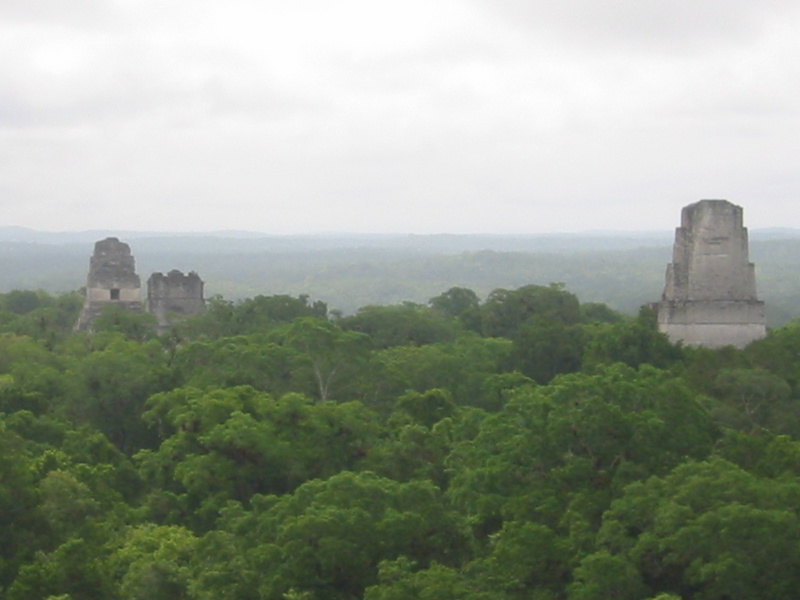 Picture 020.jpg