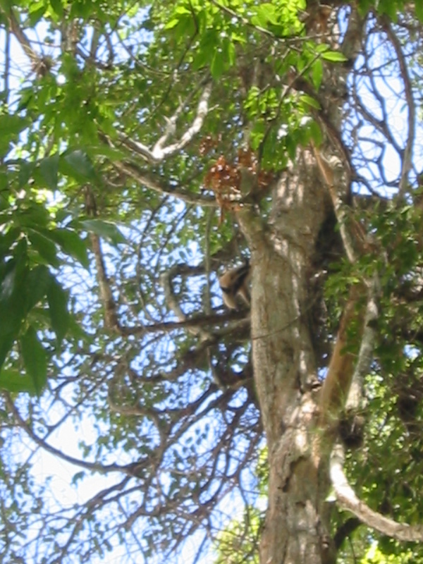 Picture 057.jpg