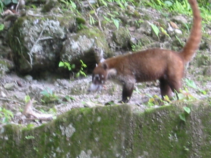 Picture 060.jpg