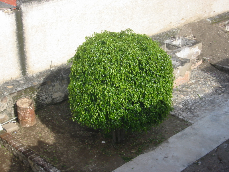 IMG_2654.JPG