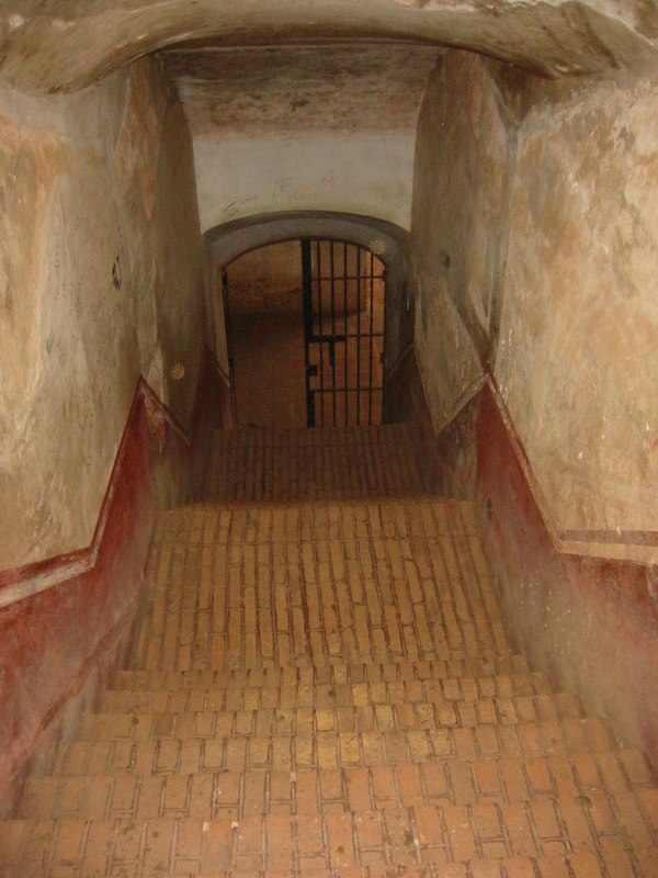 IMG_2655.JPG