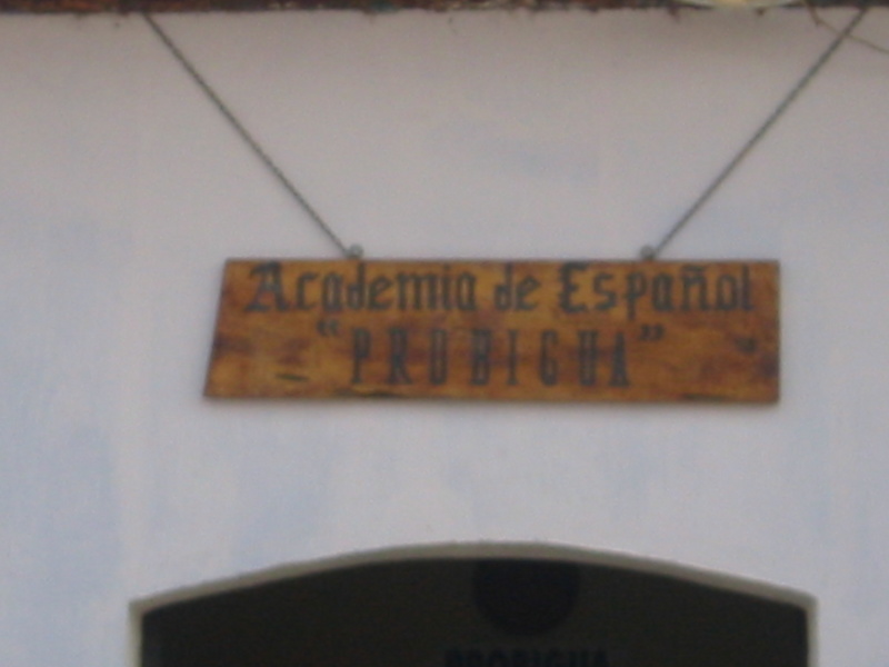 Picture 011.jpg