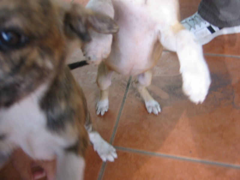 Picture 031.jpg