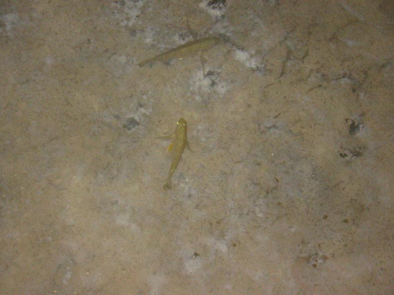 IMG_2566.JPG