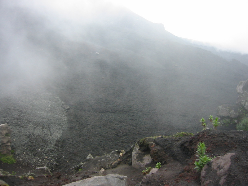 Picture 036.jpg