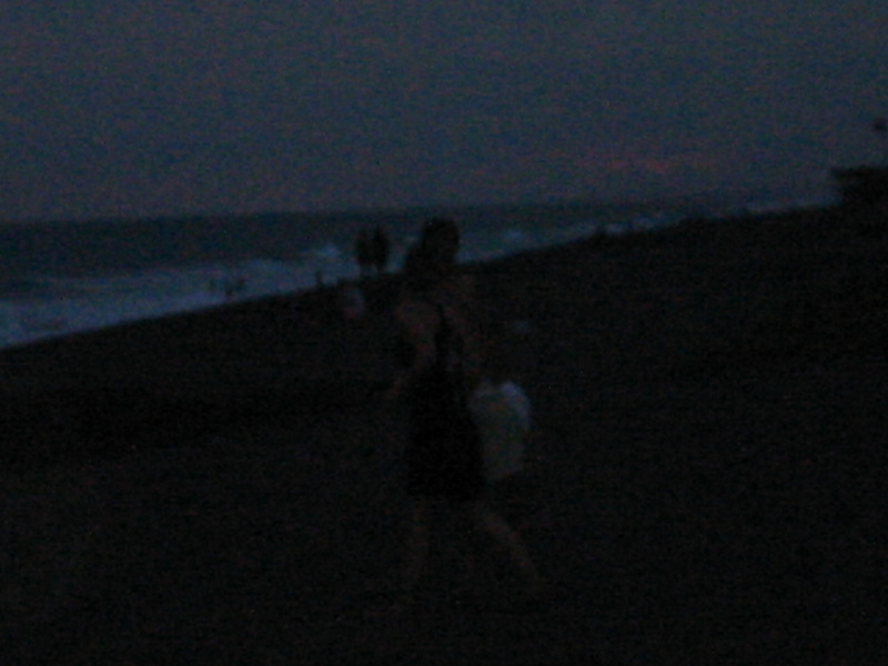 Picture 007.jpg