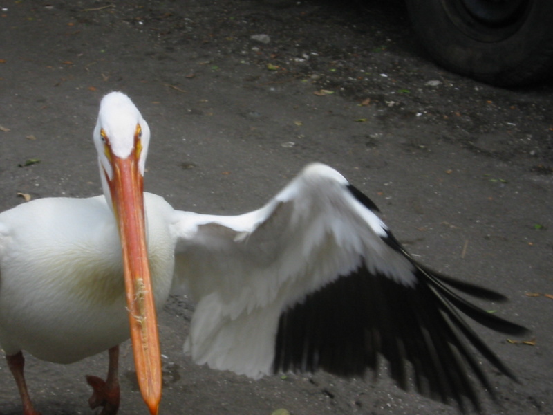 Picture 021.jpg