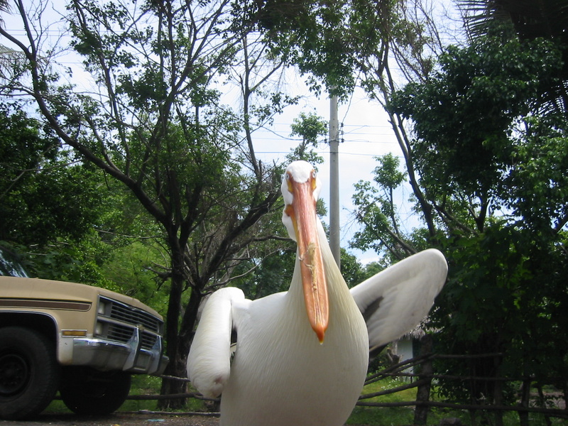 Picture 023.jpg