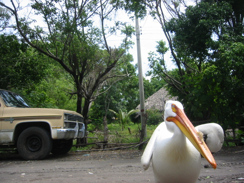 Picture 024.jpg
