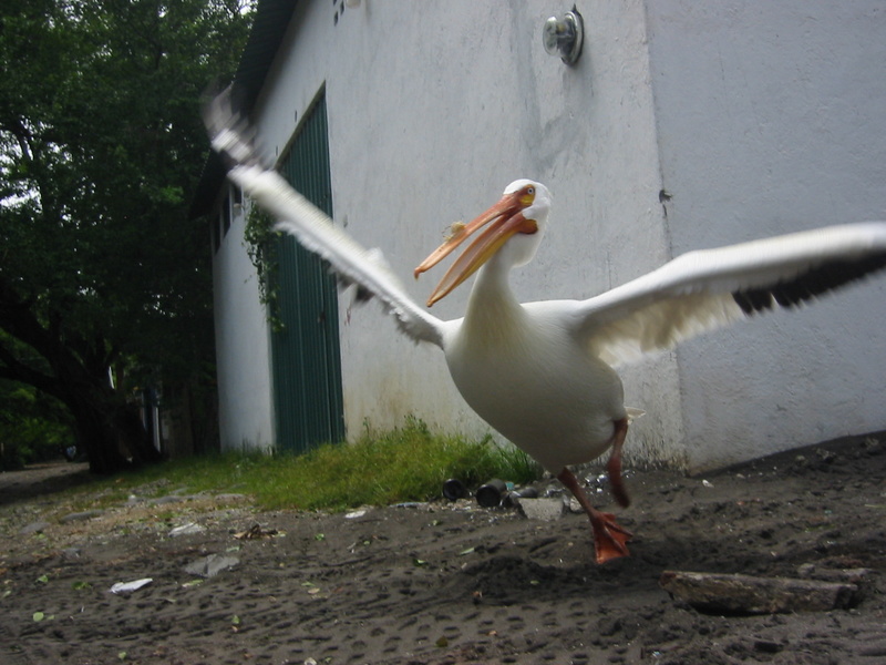 Picture 025.jpg