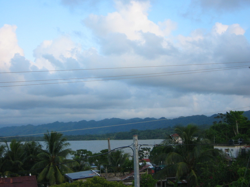Picture 013.jpg
