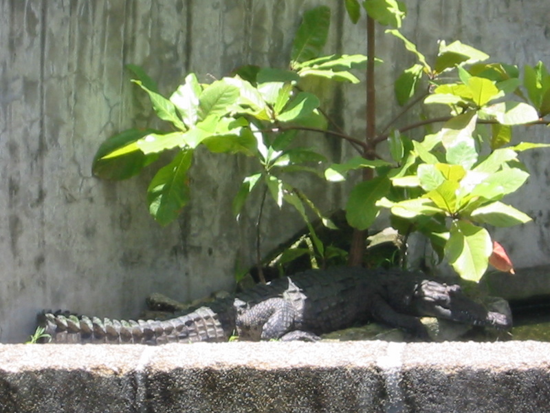 Picture 046.jpg