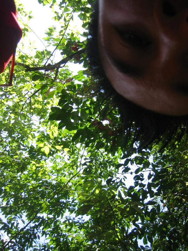 Picture 049.jpg