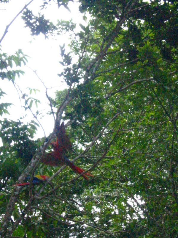 Picture 006.jpg