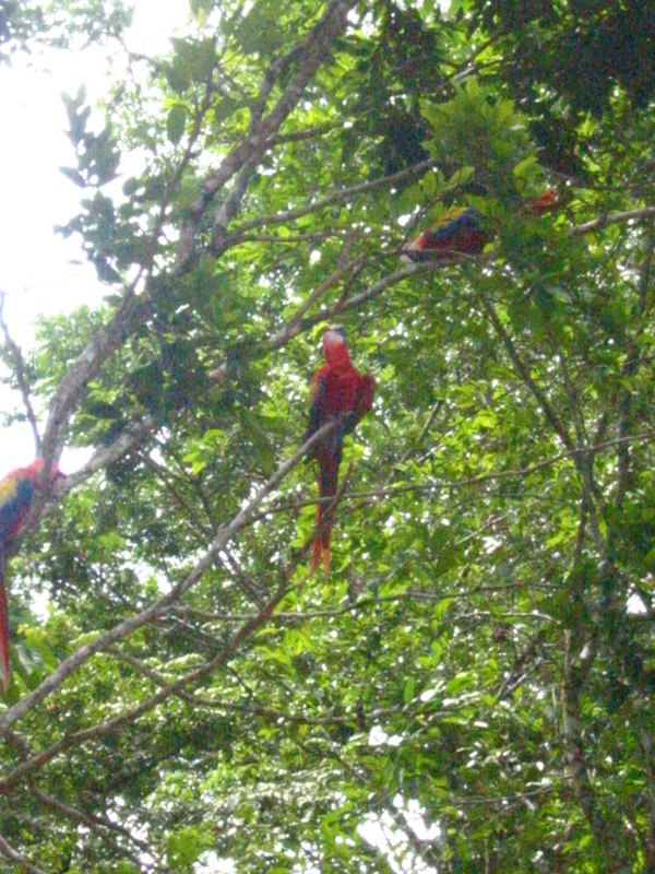 Picture 007.jpg