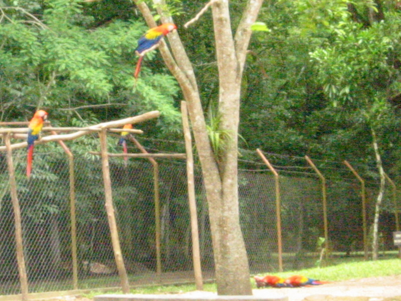 Picture 053.jpg