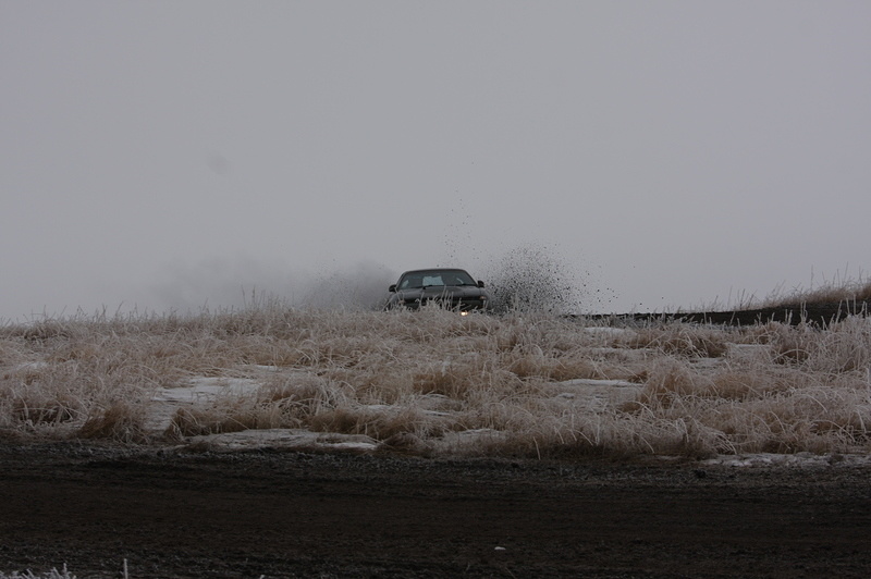 IMG_8279