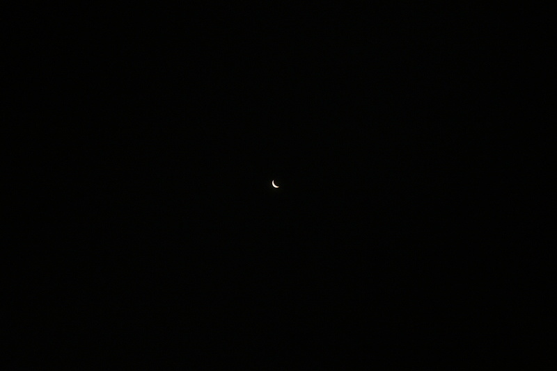 IMG 9860