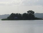 Picture 059.jpg
