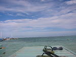 Picture 005.jpg
