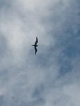 Picture 013.jpg
