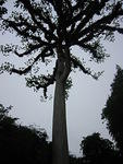 Picture 002.jpg