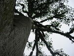 Picture 003.jpg