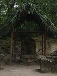 Picture 013.jpg