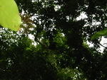 Picture 015.jpg
