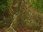 Picture 018.jpg