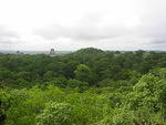 Picture 022.jpg