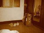 IMG_2620.JPG