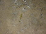 IMG_2566.JPG