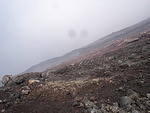 DSC04695.JPG